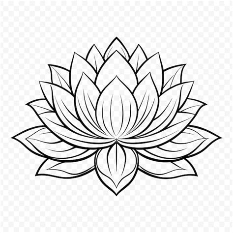 Image result for Lotus CorelDraw File