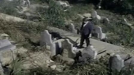 《猛鬼山坟2》-高清电影-完整版在线观看