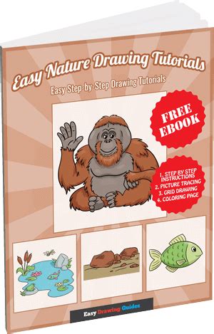 Image result for Nature Drawing Tutorials