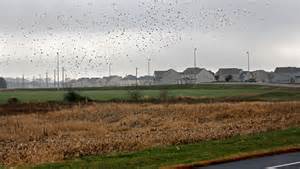 New Castle County property tax: What to know