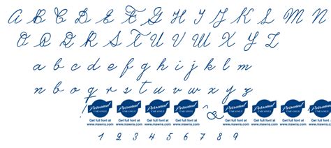 Image result for Castro Script Font