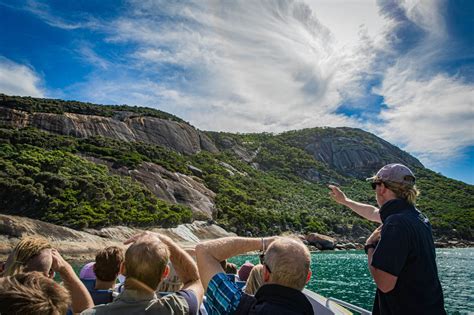 Image result for Function Tour Operator