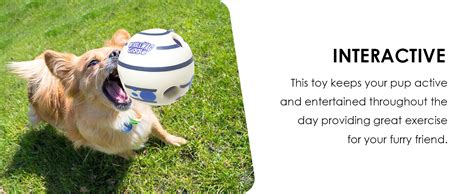 Buy Pawsindia Original Wobble Wag Interactive Fun Dog Toy with Fun ...