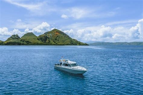 Diving at Le Pirate island - Reviews, Photos - Sea Creatures Diving ...