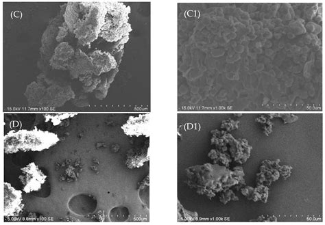 Recovery of Phenolic Compounds from Jackfruit Seeds Using Subcritical ...