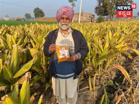 Agriculture: ಬಾಡಿಗೆ ಜಮೀನಿನಲ್ಲಿ ಇಳುವರಿ ತೆಗೆದು ಲಕ್ಷಗಟ್ಟಲೇ ...