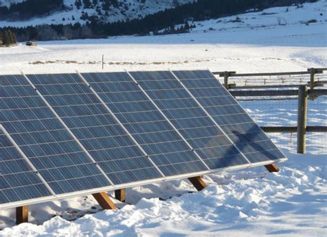 Image result for Post Shading