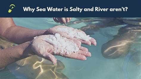 Sea Water 的图像结果