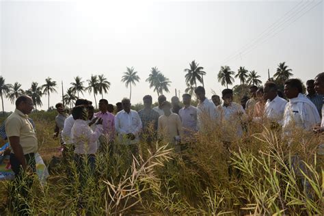 Training Programme on Seed Production Techniques of Major Crops in ...