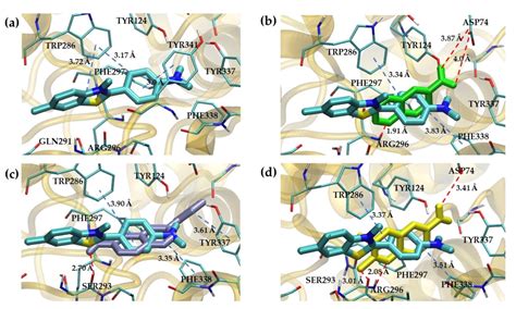 Synthesis, Biological Evaluation, and In Silico Studies of New ...