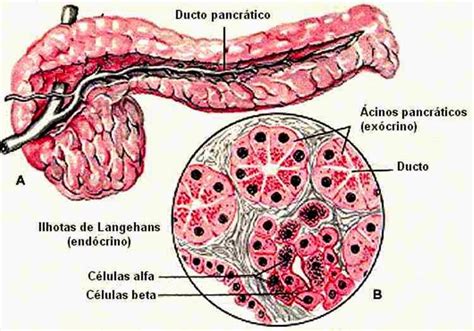 Image result for Computer Graphycs