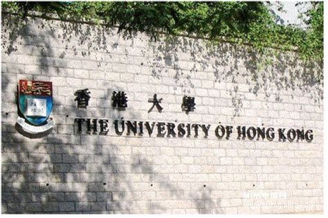 国际生申请香港大学本科条件有哪些 | myOffer®