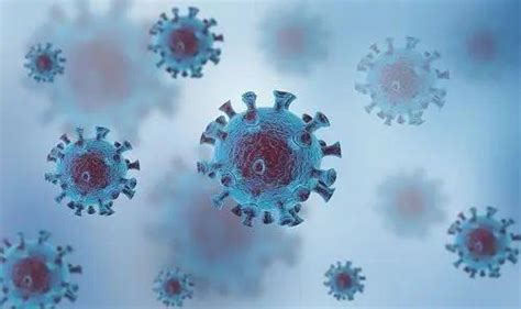 新冠病毒与HIV类似，会劫持T细胞攻击人体免疫系统 - 知乎