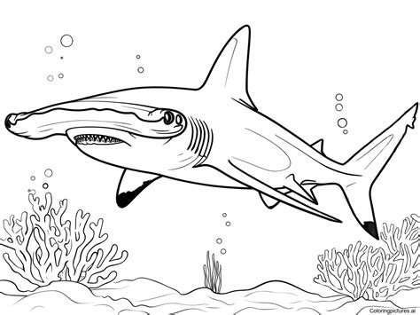 Hammerhead Shark - Free Printable Coloring Page