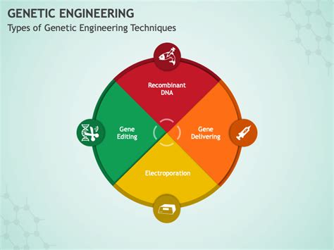 Genetic Engineering Presentation 的图像结果