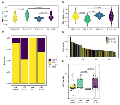 Combined Assessment of the Tumor–Stroma Ratio and Tumor Immune Cell ...