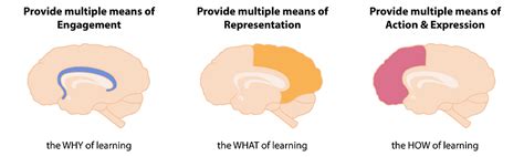 Image result for UDL Principles