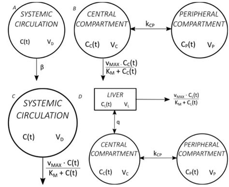 Pharmacokinetic Analysis of Ethanol in a Human Study: New Modification ...