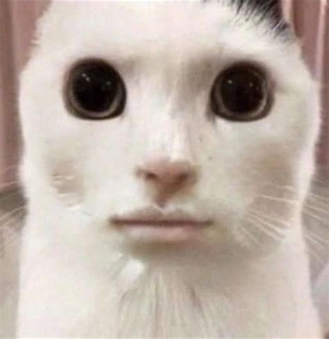 Metal Pipe Sound Effect