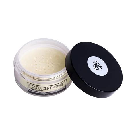 Buy PAC Translucent Powder - 04 (30 g) Online at Best Price in India on ...