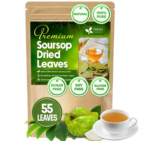 55+ Premium Soursop Graviola Dried Leaves, 55-60 Natural Leaves, Whole ...