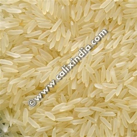 CALIX IMPEX INTERNATIONAL - PRODUCTS