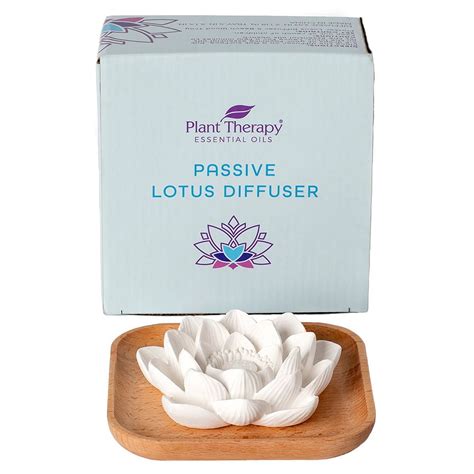 Buy Plant Therapy Passive Lotus Flower Aromatherapy Diffuser for ...