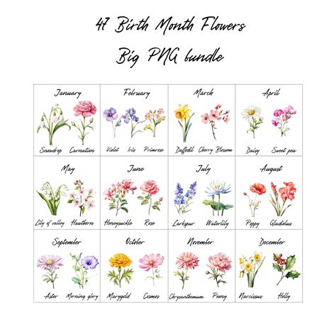 Birth Month Flowers Japan at Julio Durbin blog