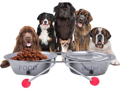 The DDS Store Double Diner Pet Bowls Cups, Stainless Steel Food Water ...