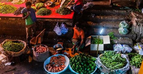 Lab notes: Bacteria resistant to strongest antibiotics present in fresh ...