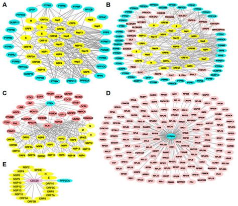Kinases and Phosphatases | An Open Access Journal from MDPI