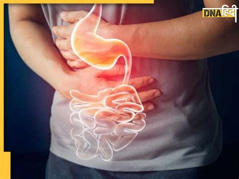 Worst Foods for Gut Health: आंतों के लिए जहर हैं ये 5 फूड, नहीं ...