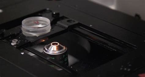 This $6 Million Camera Can Shoot Pics At 100 Million FPS And Help Us ...