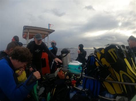 Mantamaria Dive Center Azores (Vila do Porto) - 2021 What to Know ...