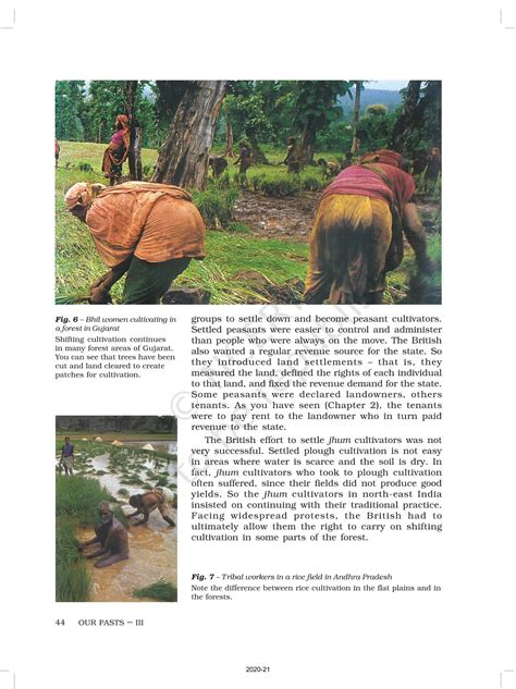 Tribals Dikus And The Vision Of A Golden Age - NCERT Book of Class 8 ...