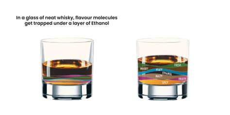 Estuary World | World's First Blending Water