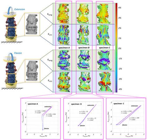 Digital Image Correlation (DIC) Assessment of the Non-Linear Response ...