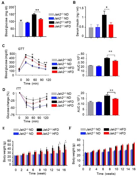 JAK2/STAT3 Signaling in Myeloid Cells Contributes to Obesity-Induced ...