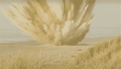 Exploding Whale Australia 的图像结果