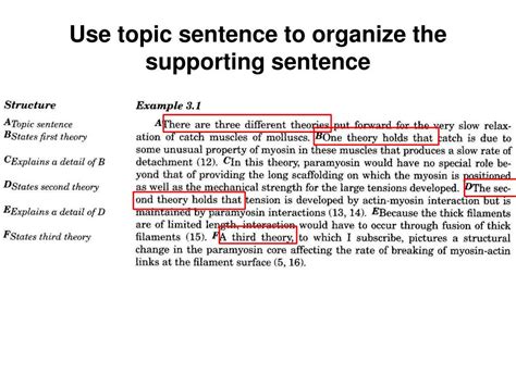 Image result for Example Ng Paragraph