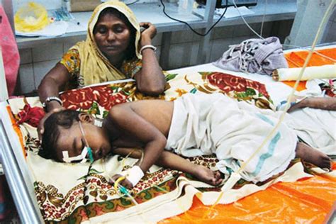 उत्तर प्रदेश में एक्यूट और जापानी इंसेफेलाइटिस के मामलों में दर्ज की गई ...