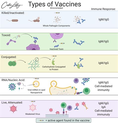Types of Vaccines — PathElective
