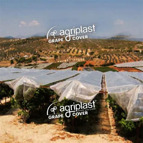 AGRIPLAST GRAPE COVER - Agriplast Grape Cover Manufacturer from Hosur