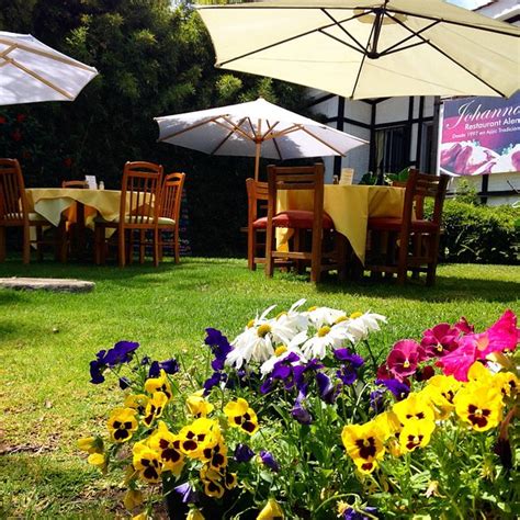 The Best Sauerkraut / Choucroute in Ajijic - Tripadvisor