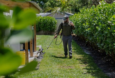 Orlando Pest Control | $50 Off First Service | Clements Pest Control