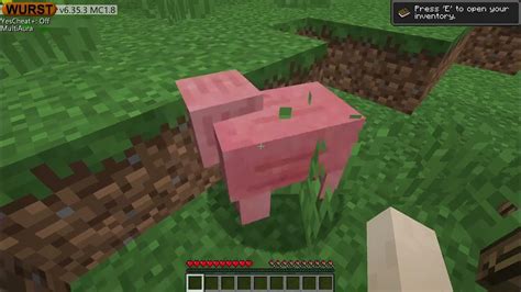 Minecraft Wurst Tutorial 的图像结果