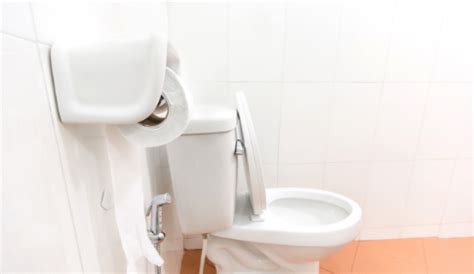 别再踩公厕马桶圈了！你家的马桶圈可能比公厕还脏！_厕所_细菌_来源