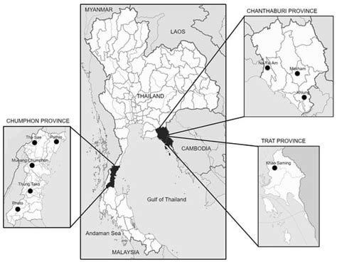 Comprehensive Investigation of Die-Back Disease Caused by Fusarium in ...