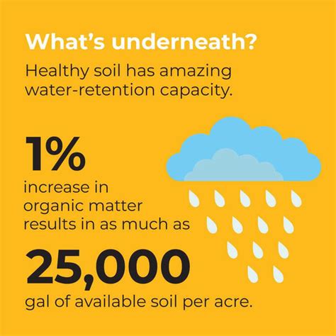 How Composting keeps soil alive