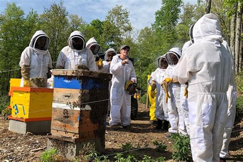 KILLER BEES HONEY - All You Need to Know BEFORE You Go 2026 (with ...